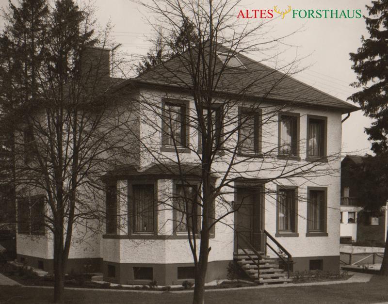 Bed and Breakfast Altes Forsthaus Manderscheid Exterior foto
